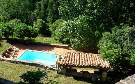 Pool with sunloungers in a forest setting